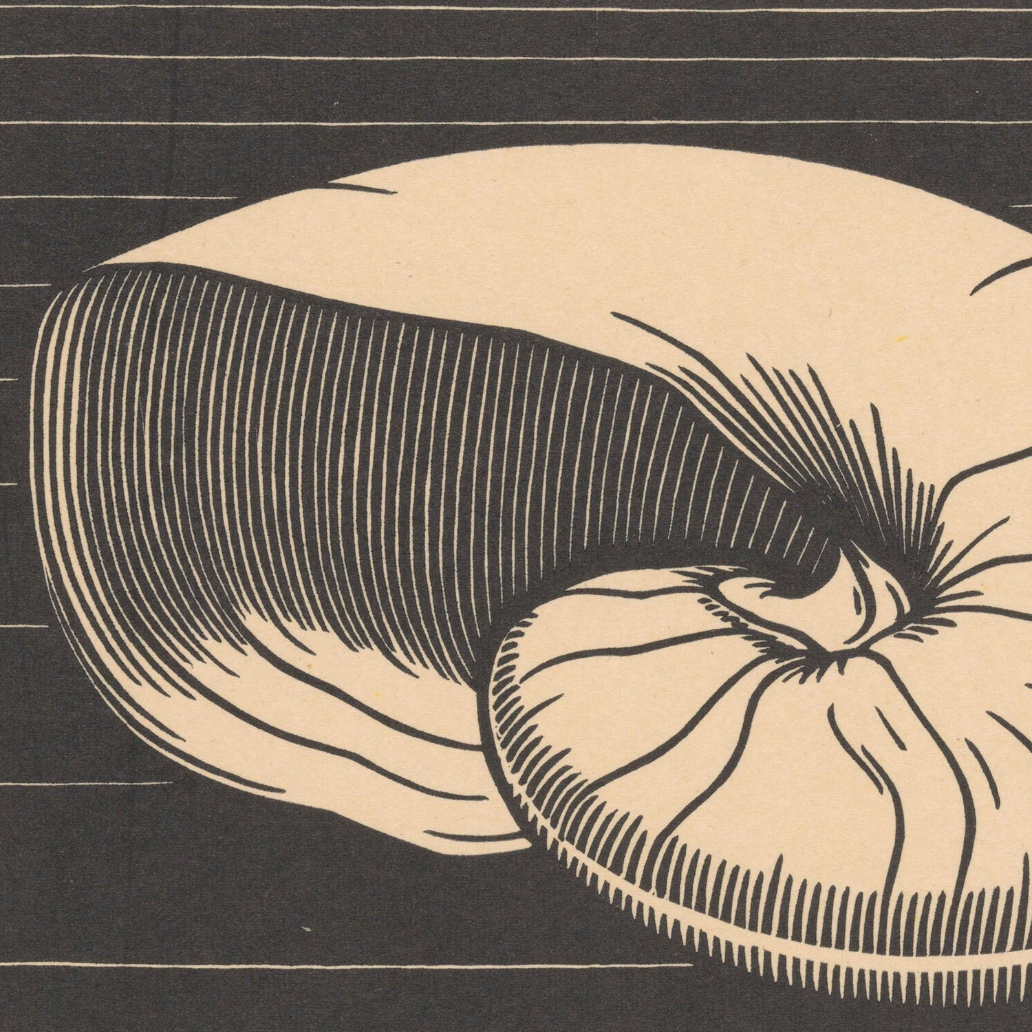 The Shell Illustration Julie De Graag Print showcases a monochromatic seashell drawing that is reminiscent of Dutch art and the meticulous style of Julie de Graag. The piece features intricate linework with curved lines and shading, set against a background of horizontal lines that add depth and structure.