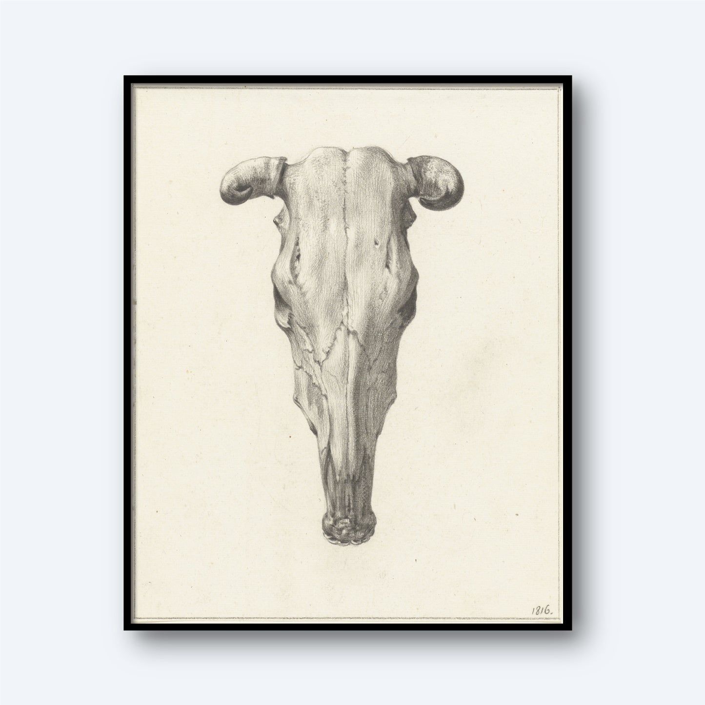 A detailed pencil drawing by Jean Bernard, titled "Skull of a Cow by Jean Bernard Print," showcases the frontal view of a cow's skull with visible horns. Featuring rustic elegance and texture, this black-framed sketch is set against a light background. The artwork is numbered "186" in the bottom right corner.