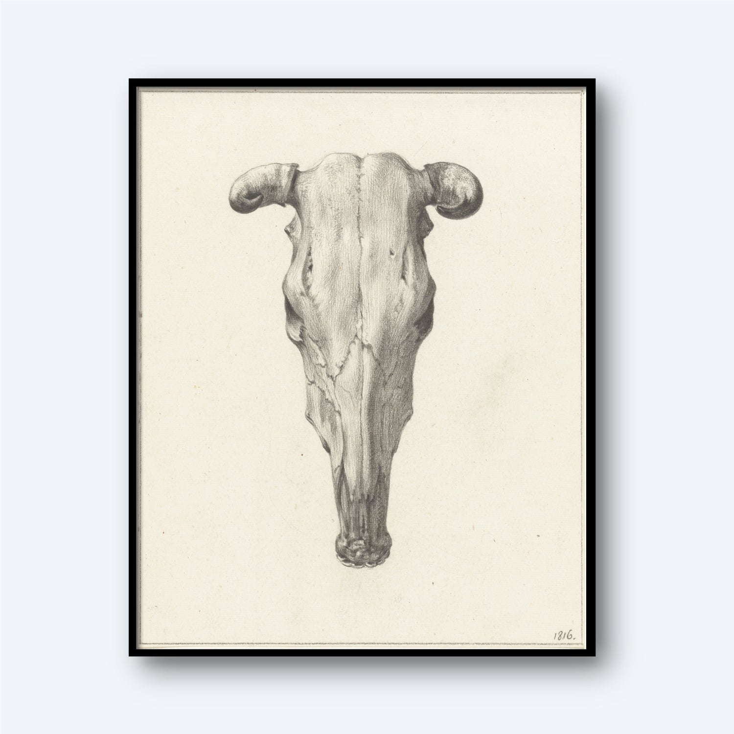 A detailed pencil drawing by Jean Bernard, titled "Skull of a Cow by Jean Bernard Print," showcases the frontal view of a cow's skull with visible horns. Featuring rustic elegance and texture, this black-framed sketch is set against a light background. The artwork is numbered "186" in the bottom right corner.