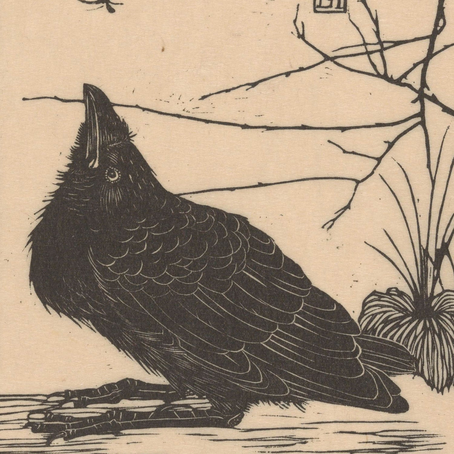 The intricate black and white woodblock print titled "Crow Looking up at a Mosquito by Jan Mankes" portrays a crow with its head tilted upward, surrounded by slender, leafless branches and a small cluster of grass. This minimalistic natural setting makes it an ideal piece for vintage print wall art.