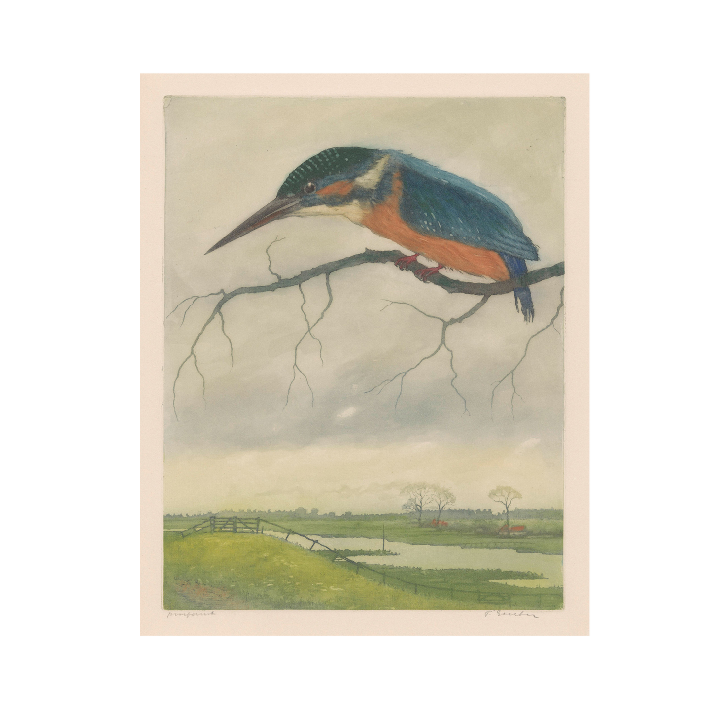 A detailed illustration of a colorful kingfisher bird perched on a leafless branch, set against an expansive and serene countryside landscape with fields, trees, and a distant fence under a cloudy sky—reminiscent of vintage wildlife art by Frans Everbag. This scene is beautifully captured in the Kingfisher by Frans Everbag | Vintage Print.