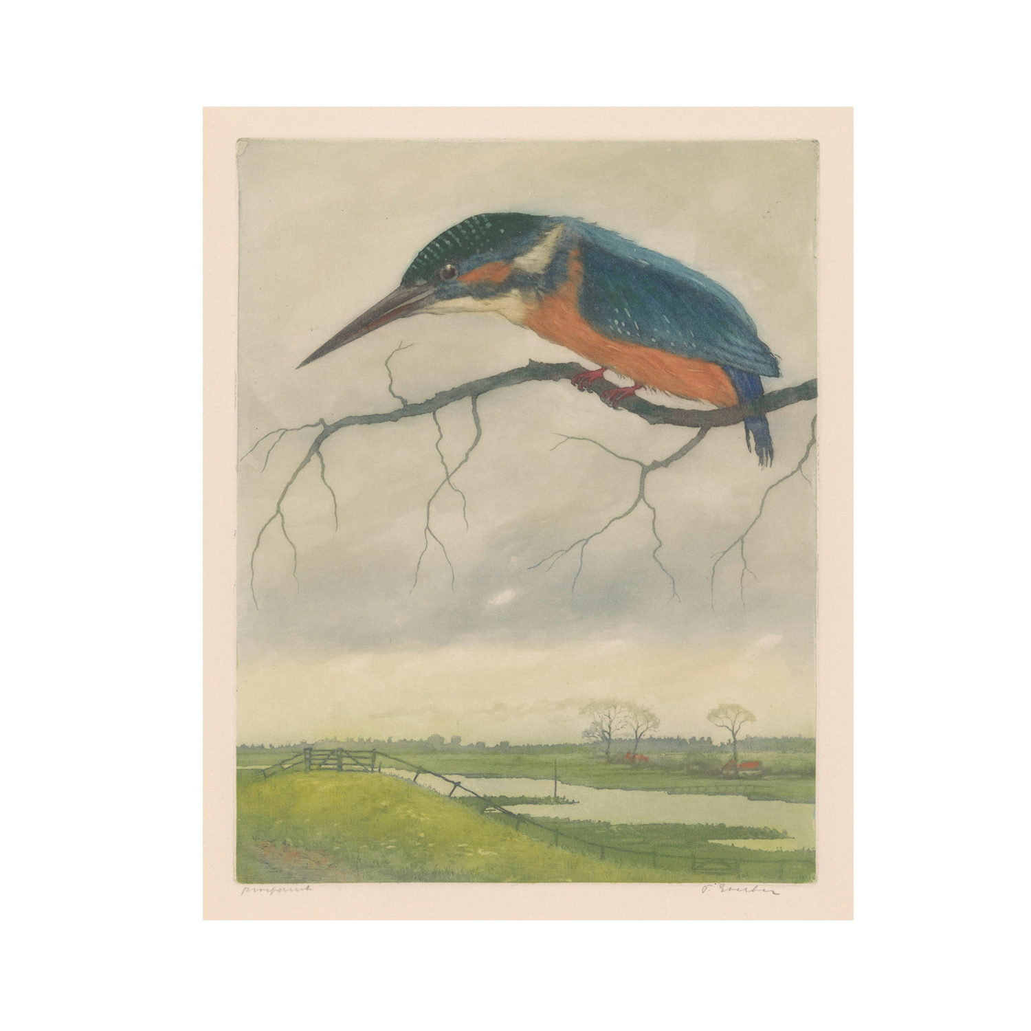A detailed illustration of a colorful kingfisher bird perched on a leafless branch, set against an expansive and serene countryside landscape with fields, trees, and a distant fence under a cloudy sky—reminiscent of vintage wildlife art by Frans Everbag. This scene is beautifully captured in the Kingfisher by Frans Everbag | Vintage Print.