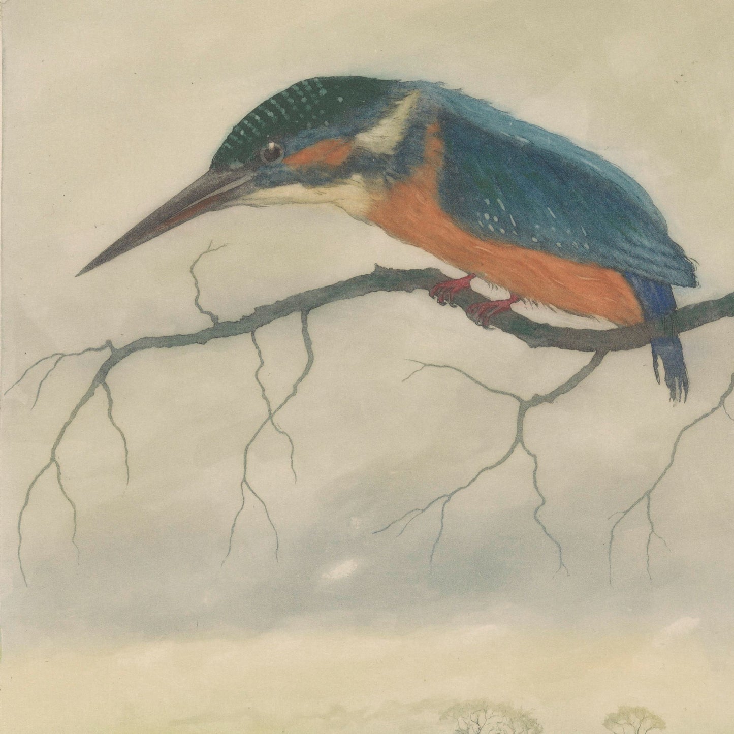 An illustration titled "Kingfisher" by Frans Everbag features a kingfisher with striking blue and orange plumage perched on a slender, bare branch against a soft, foggy backdrop. The bird gazes downward with its long beak pointing forward. This tranquil and slightly misty scene makes for captivating Bird Wall Art in a vintage print style.