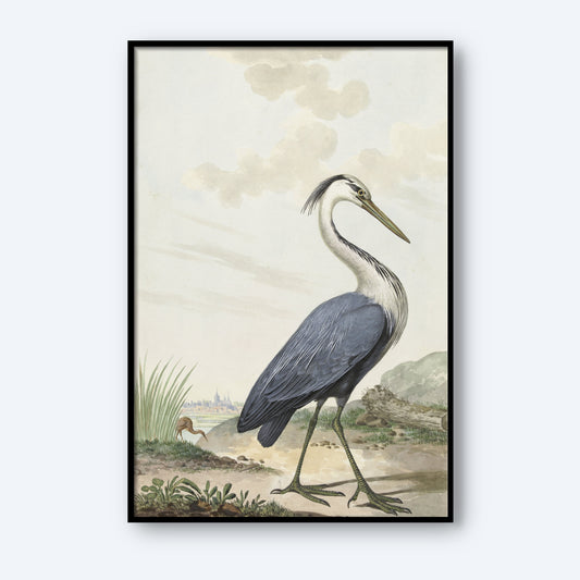 A framed Blue Reiger by Jabes Heenck Vintage Print depicts a heron standing on the ground near water, with reeds and a small bird in the background. The heron, characterized by its long neck, black and white feathers, and green legs, is set against a light sky with some clouds. This artwork captures the elegance of vintage bird wall art perfectly.