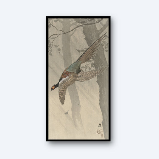The illustration, titled "Green Pheasant in Flight | Vintage Japanese Woodblock Print," showcases a green pheasant mid-flight against a forest background, reminiscent of an Ohara Koson woodblock print. The artwork is framed within a black rectangular frame. The scene features a muted color palette, emphasizing the bird's detailed feathers and the misty trees in the background.