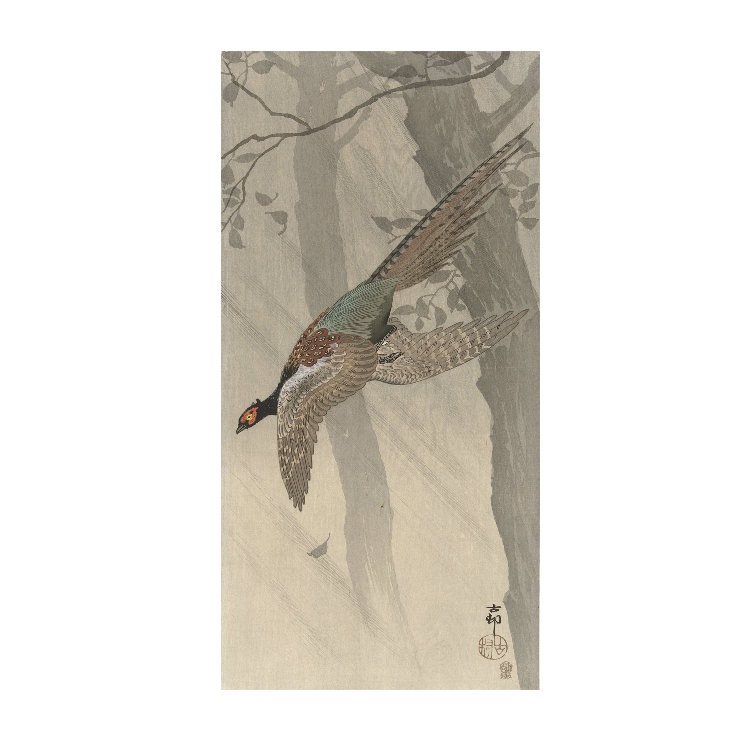 The Green Pheasant in Flight | Vintage Japanese Woodblock Print features a detailed painting of a green pheasant soaring among tall trees. The background showcases muted tones of gray and beige, highlighting tree trunks and subtle foliage to add depth, while the bird's plumage vividly stands out.