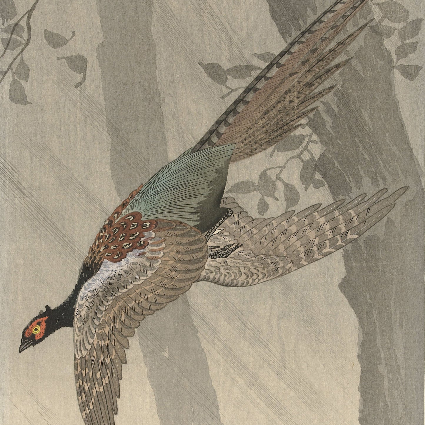 A stunning vintage Japanese woodblock print titled "Green Pheasant in Flight," created by Ohara Koson, showcases a Green Pheasant mid-flight with its wings and tail elegantly spread. The bird is adorned with intricate feather detailing, prominent red eye patches, and a vibrant mix of brown, black, and green hues. The background features softly shaded trees and foliage, adding a serene depth to the scene.