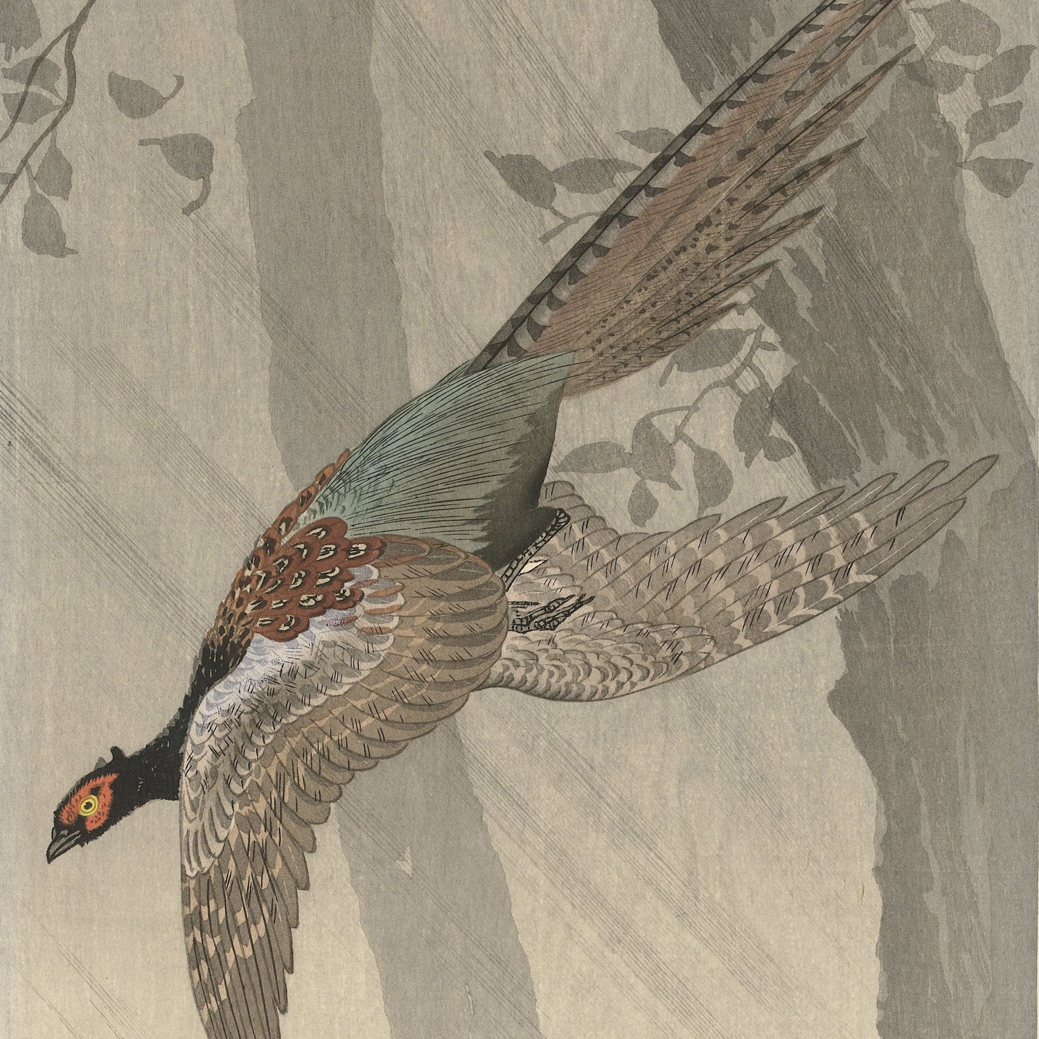 A stunning vintage Japanese woodblock print titled "Green Pheasant in Flight," created by Ohara Koson, showcases a Green Pheasant mid-flight with its wings and tail elegantly spread. The bird is adorned with intricate feather detailing, prominent red eye patches, and a vibrant mix of brown, black, and green hues. The background features softly shaded trees and foliage, adding a serene depth to the scene.
