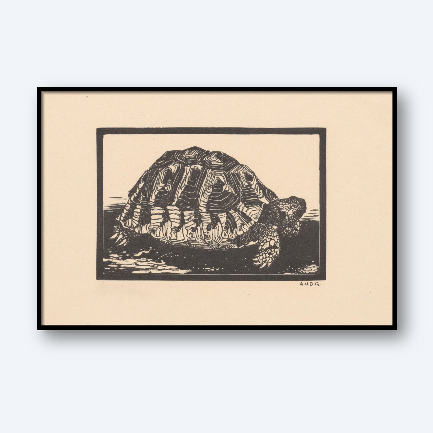 The "Turtle by Julie de Graag Print," a black and white woodcut artwork inspired by early 20th-century printmaking, portrays a turtle with intricate shell and body patterns. Facing right, the turtle seems to be resting on a shaded ground, with the artist's initials "A.N.D.G." inscribed in the bottom right corner.