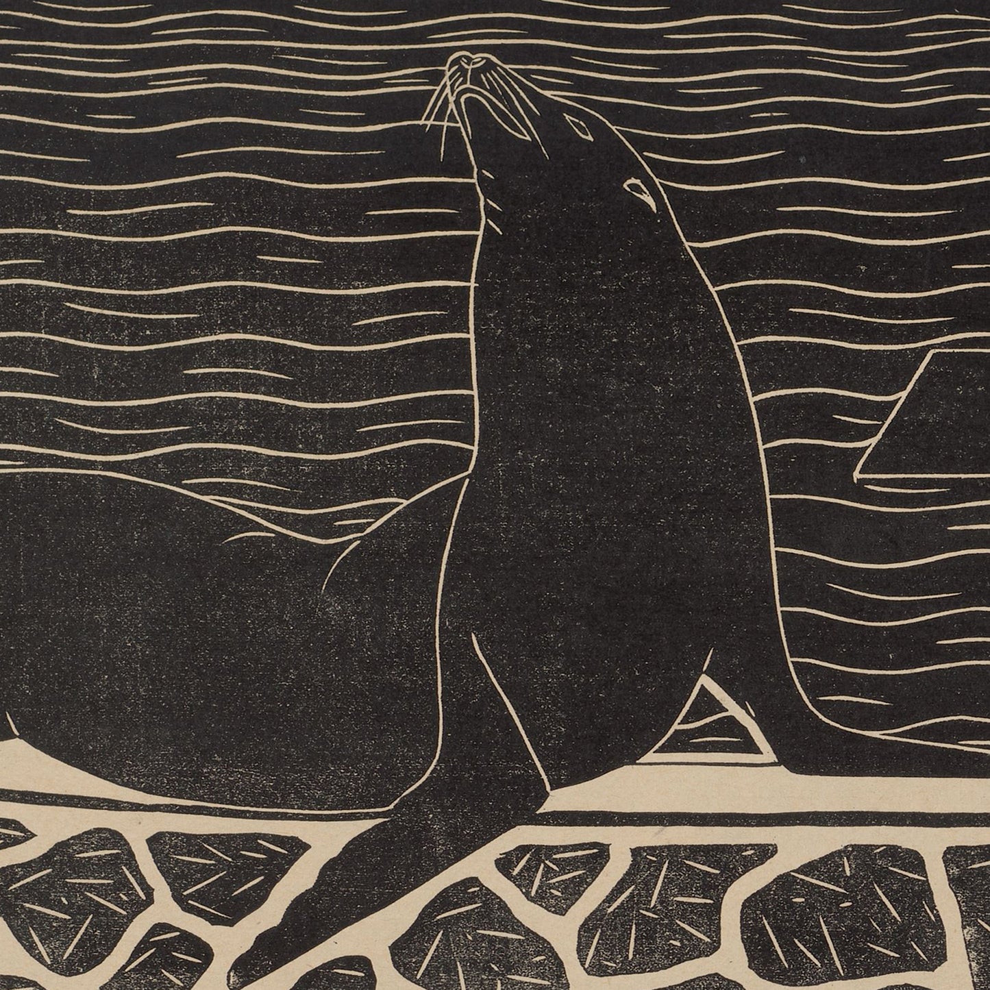 The "Sea Lions by Samuel Jessurun de Mesquita Print" features a stylized black and beige illustration of a sea lion sitting on a rocky shore, reminiscent of the artist's printmaking artistry. The sea lion is facing upward with its head tilted back, set against a background of wavy lines representing water.