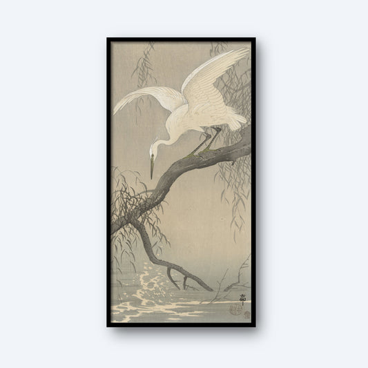 White heron on tree branch by Ohara Koson | Vintage Japanese Print