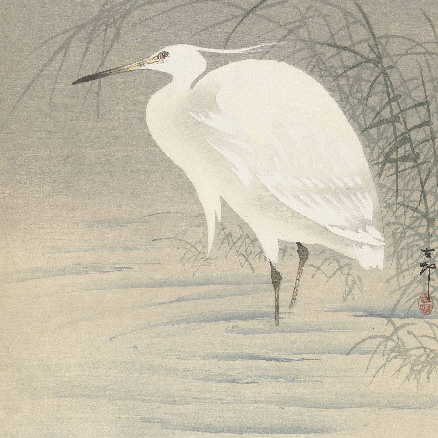 The detailed illustration in the "Little Egret by Ohara Koson | Vintage Japanese Print" captures a Little Egret with its long neck and slender legs standing gracefully in shallow water. The surrounding reeds and the soft, muted colors evoke a serene atmosphere, enhancing the tranquility of the scene, reminiscent of traditional Japanese woodblock prints by Ohara Koson.