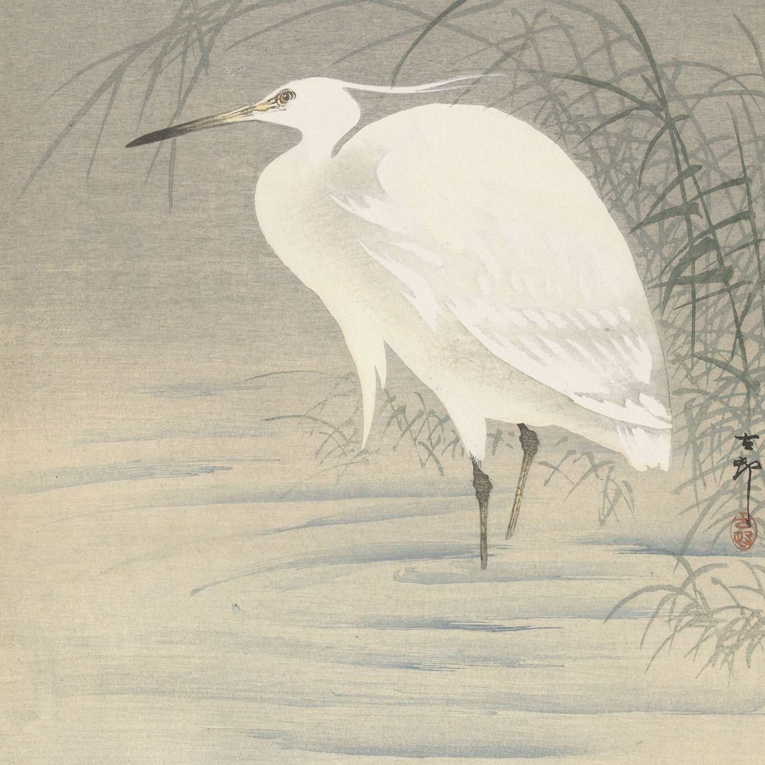 The detailed illustration in the "Little Egret by Ohara Koson | Vintage Japanese Print" captures a Little Egret with its long neck and slender legs standing gracefully in shallow water. The surrounding reeds and the soft, muted colors evoke a serene atmosphere, enhancing the tranquility of the scene, reminiscent of traditional Japanese woodblock prints by Ohara Koson.