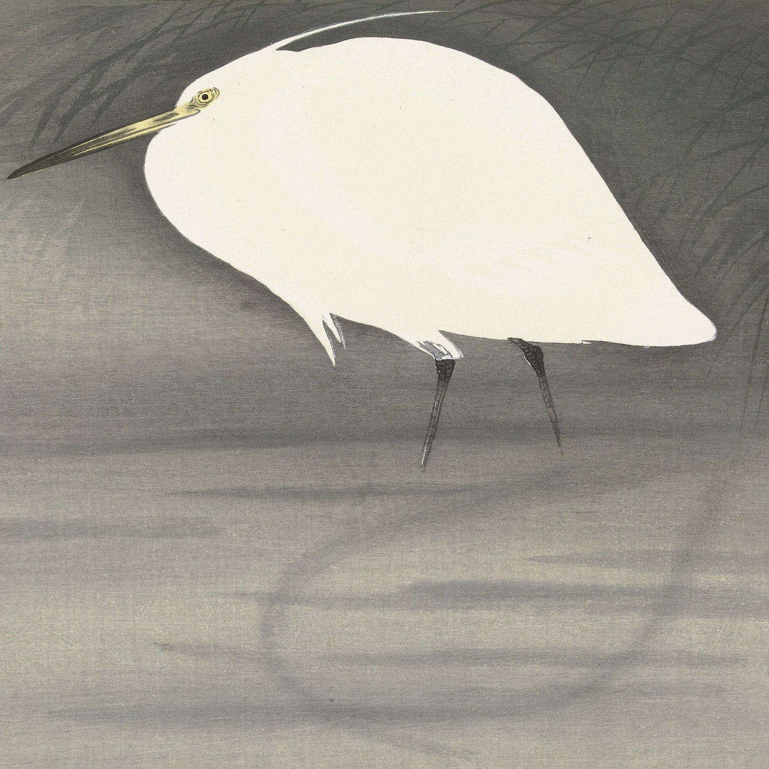 The vintage Japanese print "Egret In Swamp Waiting for Fish by Ohara Koson" captures a delicate painting of a white heron standing in shallow water. The background features a gradient of soft, muted grays, creating a serene and minimalistic scene. Finely detailed slender legs and beak contrast with the heron's smooth, pure white feathers to make this piece reminiscent of classic Ohara Koson artwork.